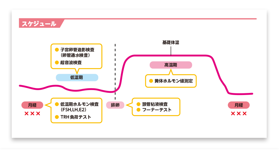 写真：検査